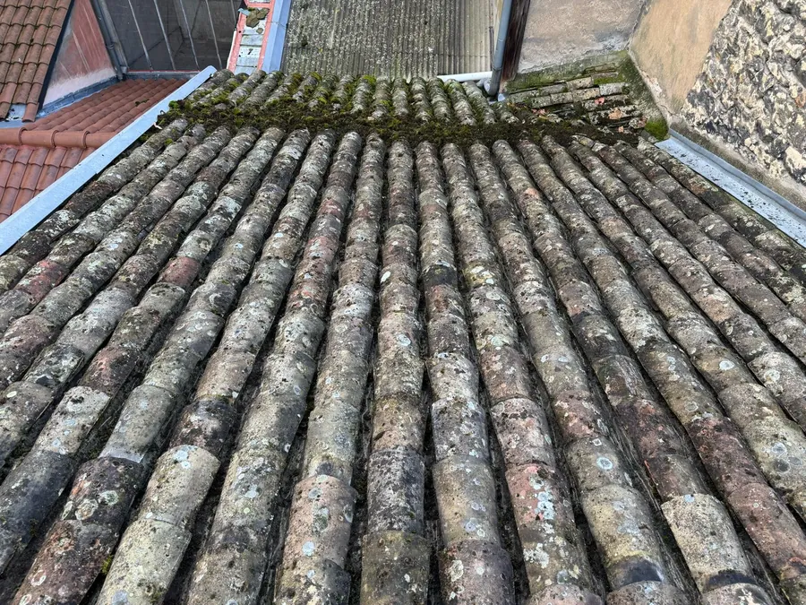 Mousse sur la toiture — Bresse Couverture, Pont-de-Vaux et alentours